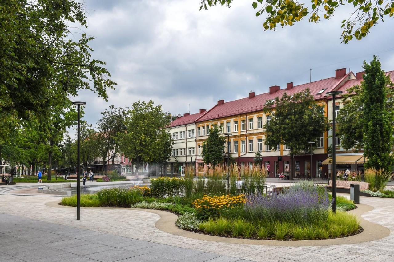 Apartment Lindens With Ac And View To Square